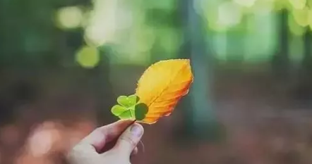 1526369320602559.png image.png